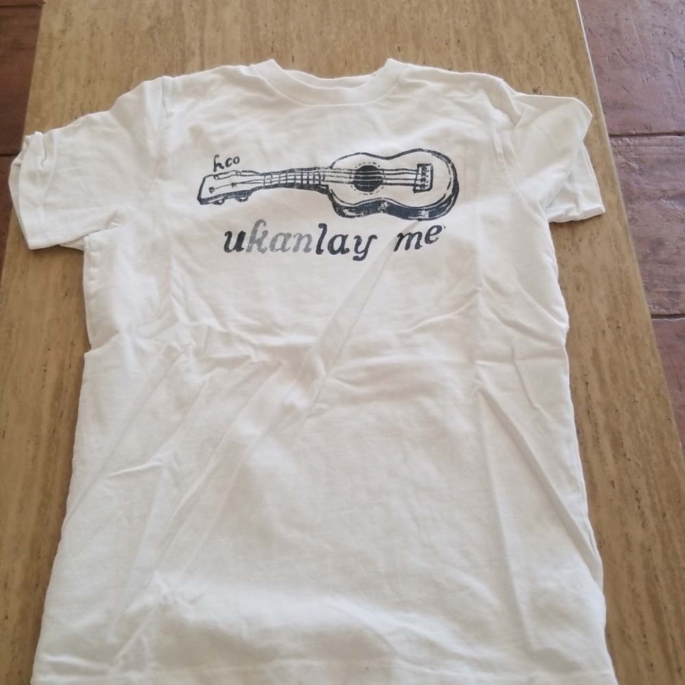 Mens Men's Hollister tee small